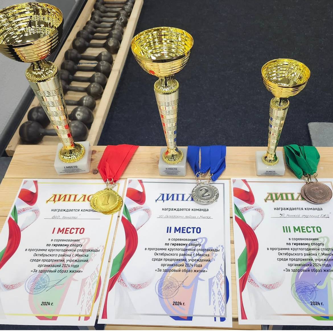 Соревнования по гиревому спорту